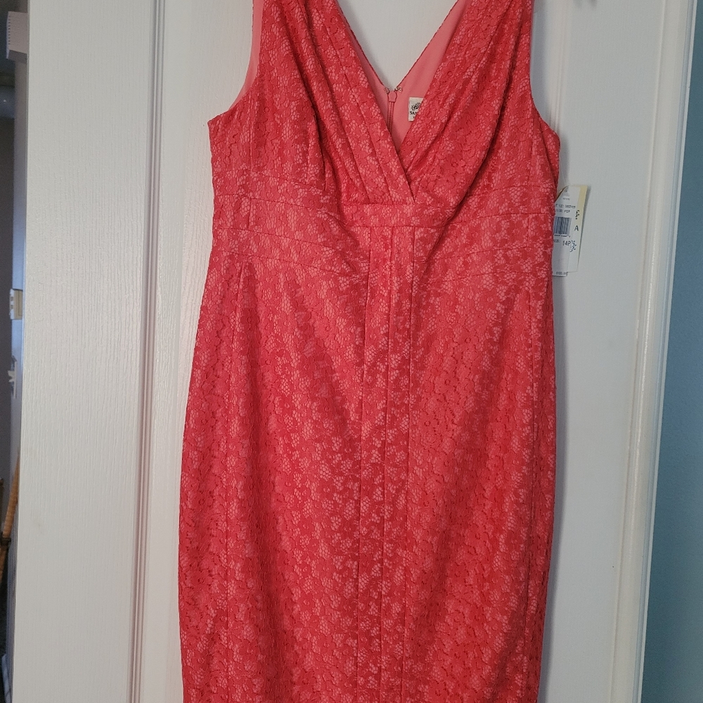 Lace dress size 14 P